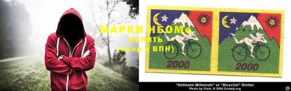 ГАЛЛЮЦИНОГЕННЫЕ ГРИБЫ Бородино