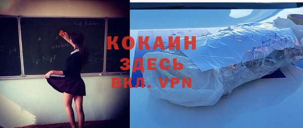 стаф Верея