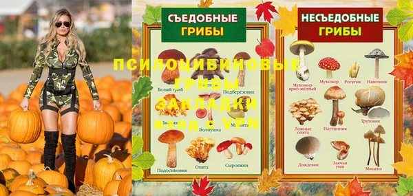 ГАЛЛЮЦИНОГЕННЫЕ ГРИБЫ Бородино
