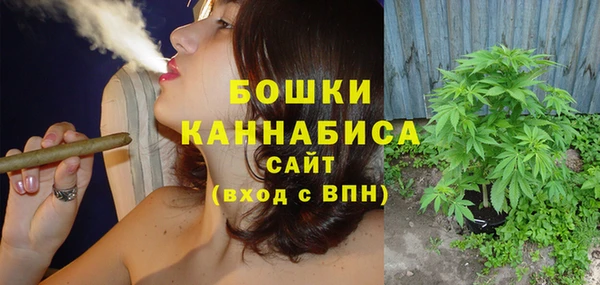 ГАЛЛЮЦИНОГЕННЫЕ ГРИБЫ Бородино