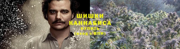 эйфоретик Бронницы