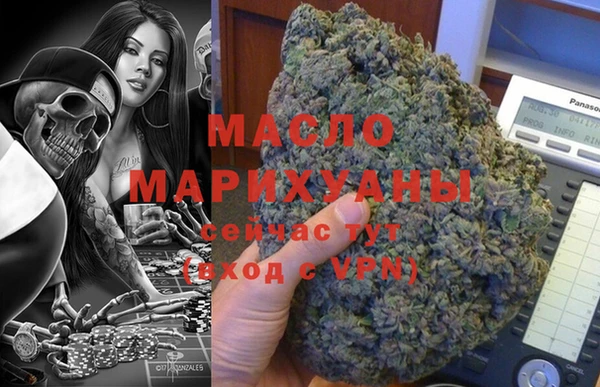 индика Верхний Тагил