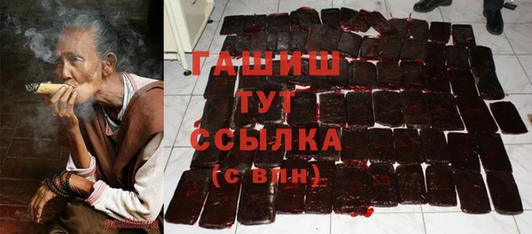 стаф Верея